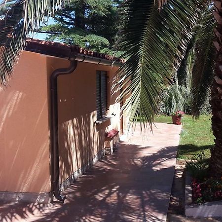 Apartment Kika Ližnjan Εξωτερικό φωτογραφία
