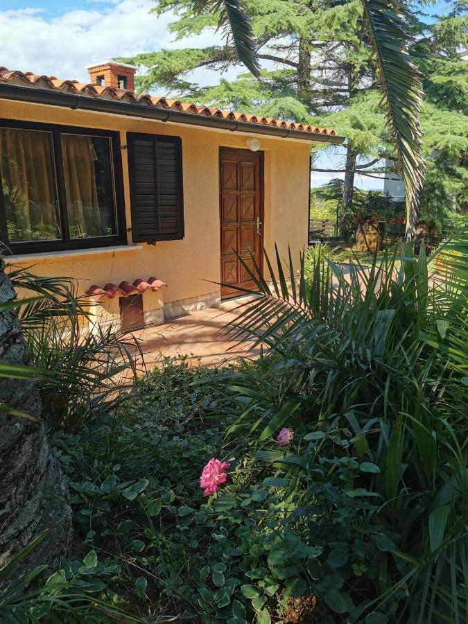 Apartment Kika Ližnjan Εξωτερικό φωτογραφία